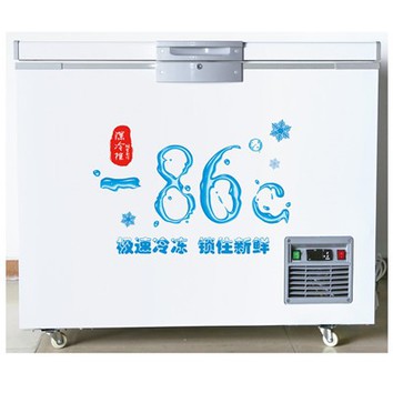 Contenitore per ghiaccio secco